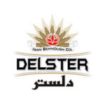 delster-150x150